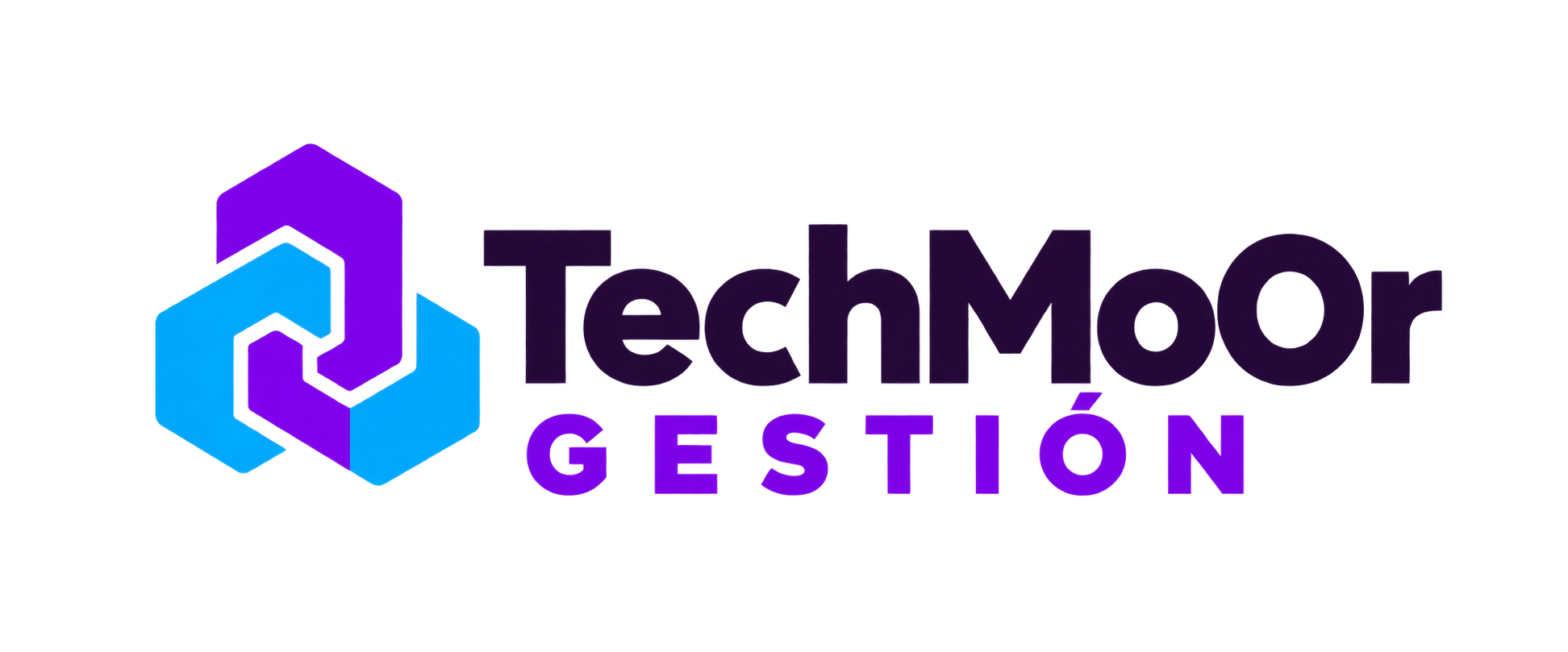 TechMoOr Gestión